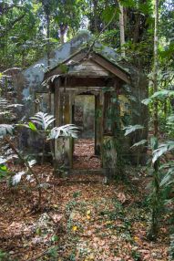A house decaying gently in the jungle